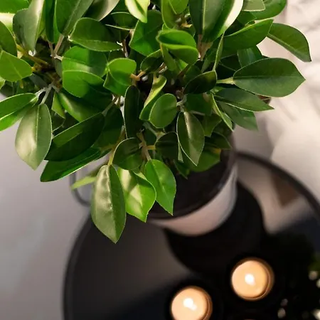 River In The Heart Of Ebi-01297 빌바오